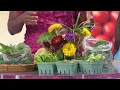 Eartha s Farm Market growing hope for Jacksonville