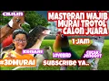 Masteran Murai Trotolan 1 Jam - Tembakan Cililin, Kenari, Lovebird, Cucak Jenggot #Audio #Jernih