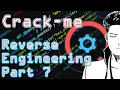 Understanding the Computers - Reverse Engineering Part 7 Crack-me Hack Two