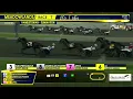 August 1 2026 - Hambletonian Elimination