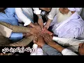 Download Lagu Aam Olas: Ep # (1872) | روغه ژوندون دې