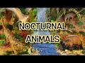 Lagu Night time Animals for Kids | Nocturnal African Jungle Diorama!