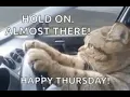 happy thursday