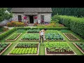 Download Lagu After 9 years as a Multinational CEO, He is happy with his current life | Gardening, Building house