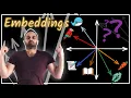 The Biggest Misconception about Embeddings