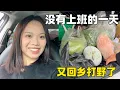 Lagu 自从买了新车后方便多了,随时带着妈妈回老家看望爷爷,同时还能收获很多有机蔬菜,太值了