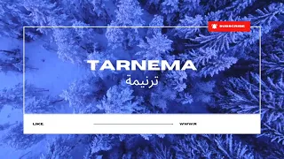 ترنيمة يا سيدي الحبيب   زياد شحادة دندنها