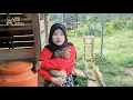 Download Lagu JANDA DESA CANTIK II IKUTI KEGIATAN NENG PUTRI HOBINYA NGURUS BURUNG SAMA KUCING