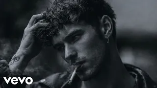 رمادی   شاجان دندنها