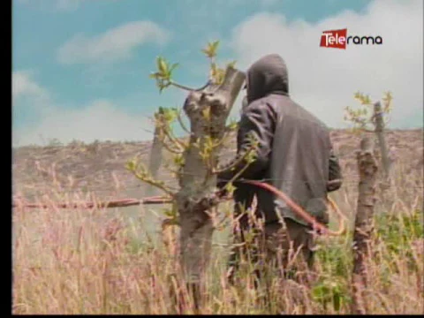 Ecuador Agropecuario 18-11-2016