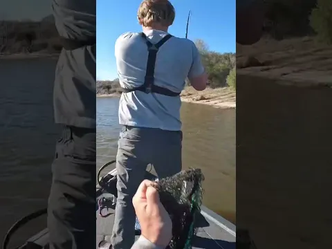 Bass Fishing Excitement