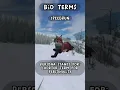 Terms for Warrior Cats Ultimate Edition