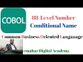 88 Level Number COBOL