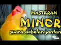 Download Lagu [ tanpa iklan ] MASTERAN LOVEBIRD MINOR KONSLET SPEED LAMBAT. SUARA DOBELAN JANTAN
