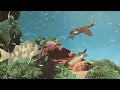 Skinshape - I Didn't Know (Official Video)