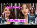 Download Lagu TikTok terasik 2021. Halo Bosku, adakah??? Ada sayang ada