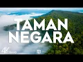 Download Lagu Top 10 Best Things to do in Taman Negara, Malaysia - Travel Video 2025
