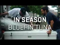 Bluefin Tuna Season in Portland Catch Prepare Japanese-inspired Hand Rolls
