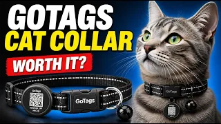 GoTags Dog Collar - Product Review