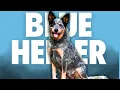 Blue Heeler Australian Cattle Dogs 101 Everything You Need to Know