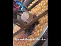 Download Lagu commercial manual stainless steel meatball forming machine/hand press vegetable ball making machine