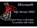 SQL Server 2005 Lesson 2 - Insert from 1 DB table to another DB table