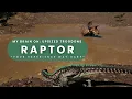 Download Lagu My Brain on Raptor : Upsized Troodons