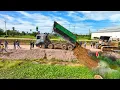 Download Lagu very, nice! Start New Landfill Project! By Dump Truck 25.5Ton Fill soil beside canal \u0026 Dozer Pushing
