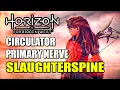 Slaughterspine Guide Circulator Primary Nerve Horizon Forbidden West
