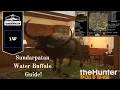 Water Buffalo Guide Sundarpatan - Thehunter call of the wild