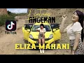 Eliza Mahani - Lintang Angenan || DJ TikTok (Official Music Video)