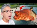 Download Lagu INILAH IKAN TERBESAR YANG PERNAH DIPANCING MANUSIA!!