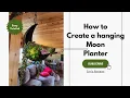 Hanging Moon Platner Succulent Planter How to Create DIY