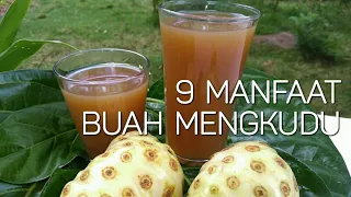 Download CARA BUAT MINUMAN DARI BUAH MENGKUDU DAN MANFAATNYA NYA | DAPUR EVARISA MP3