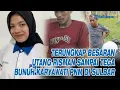 Lagu TERUNGKAP Besaran Utang Risman Sampai Tega Bunuh Karyawati PNM di Sulbar