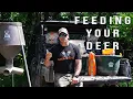 Feeding Your Summer Deer How To Help Deer Antler Growth Summer Whitetail Tips