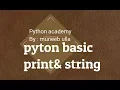 Python Tutorial Print Function in urdu and hindi