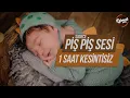 Piş Piş Sesi Müziksiz Kolik Bebekler İçin 1 saat Kesintisiz Siyah Ekran