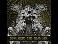 Draconian Rage - Down Among The Dead Man