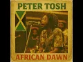 Download Lagu Roots Reggae (1977) [Unreleased Album] Peter Tosh – African Dawn