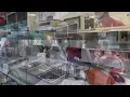 Watch now Hayes Seafood House