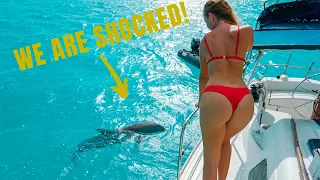 You wont BELIEVE what this Dolphin did!! Sailing GBU