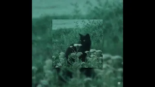 امير عيد هبا مأمون هكون لها طبعا امير بطيء و موسيقى 