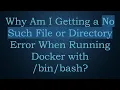 Why Am I Getting a No Such File or Directory Error When Running Docker with