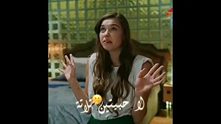 سيران وفريد هوا انت جيت منين حبيتك بالثلاثه طائر الرفراف Shorts 