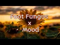 Download Lagu Foot Fungus x Mood Lyrics Mashup