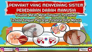 disorders of the human circulatory system causes types of disorders diseases u0026 prevention science