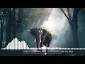 Download Lagu MASHUP  DJ  KOMANG  VIRAL  TIKTOK  REMIX  SLOW  FULL  BASS   -   Nhạc  Hot  Tik  Tok ♫