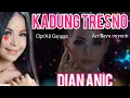 Download Lagu DIAN ANIC - KADUNG TRESNO
