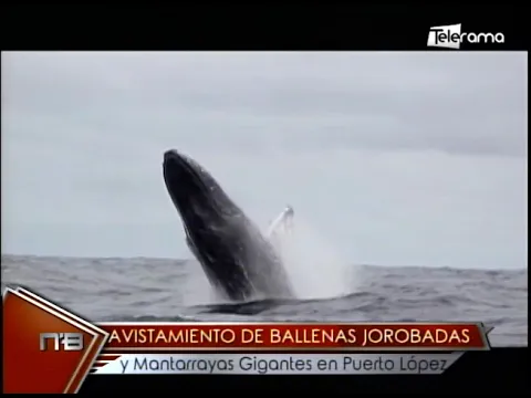 Parque Nacional Machalilla Puerto López retoman actividades con protocolos